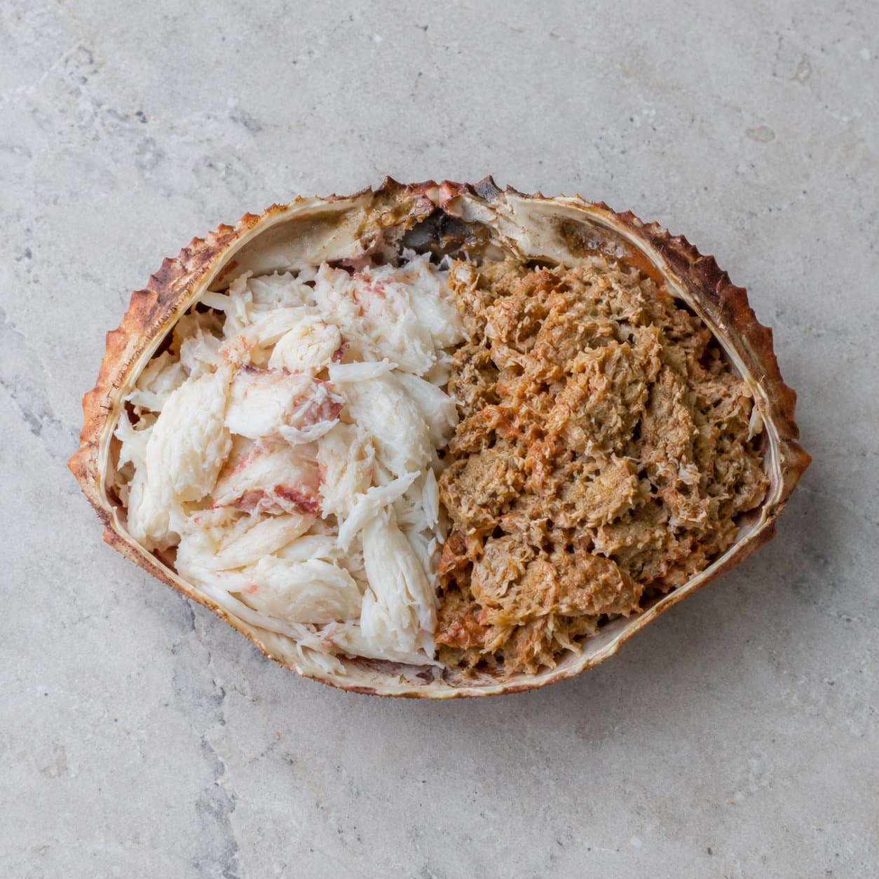A dressed brown crab, white and brown meat in the shell