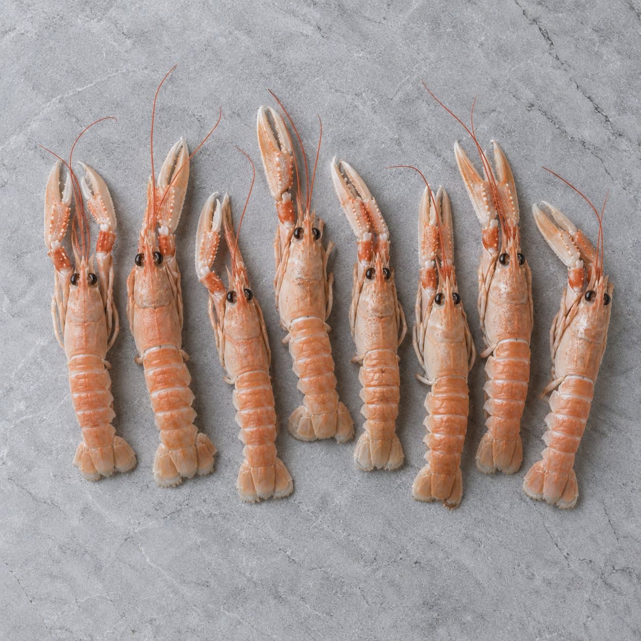 Eight raw langoustines laid side by side on grey stone