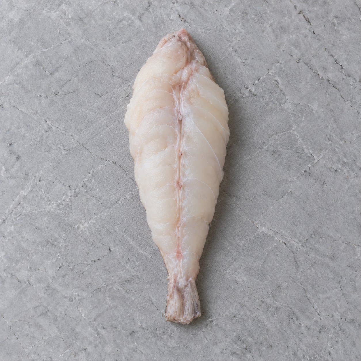 A trimmed raw monkfish tail on grey stone