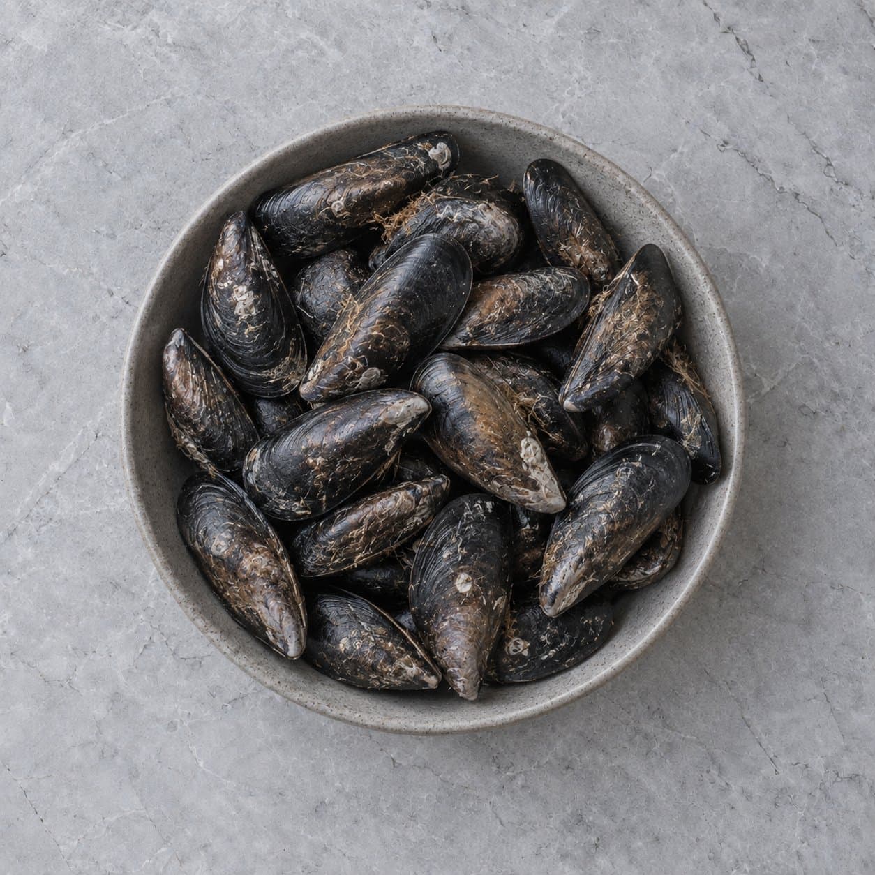 Raw mussels in a grey stoneware bowl